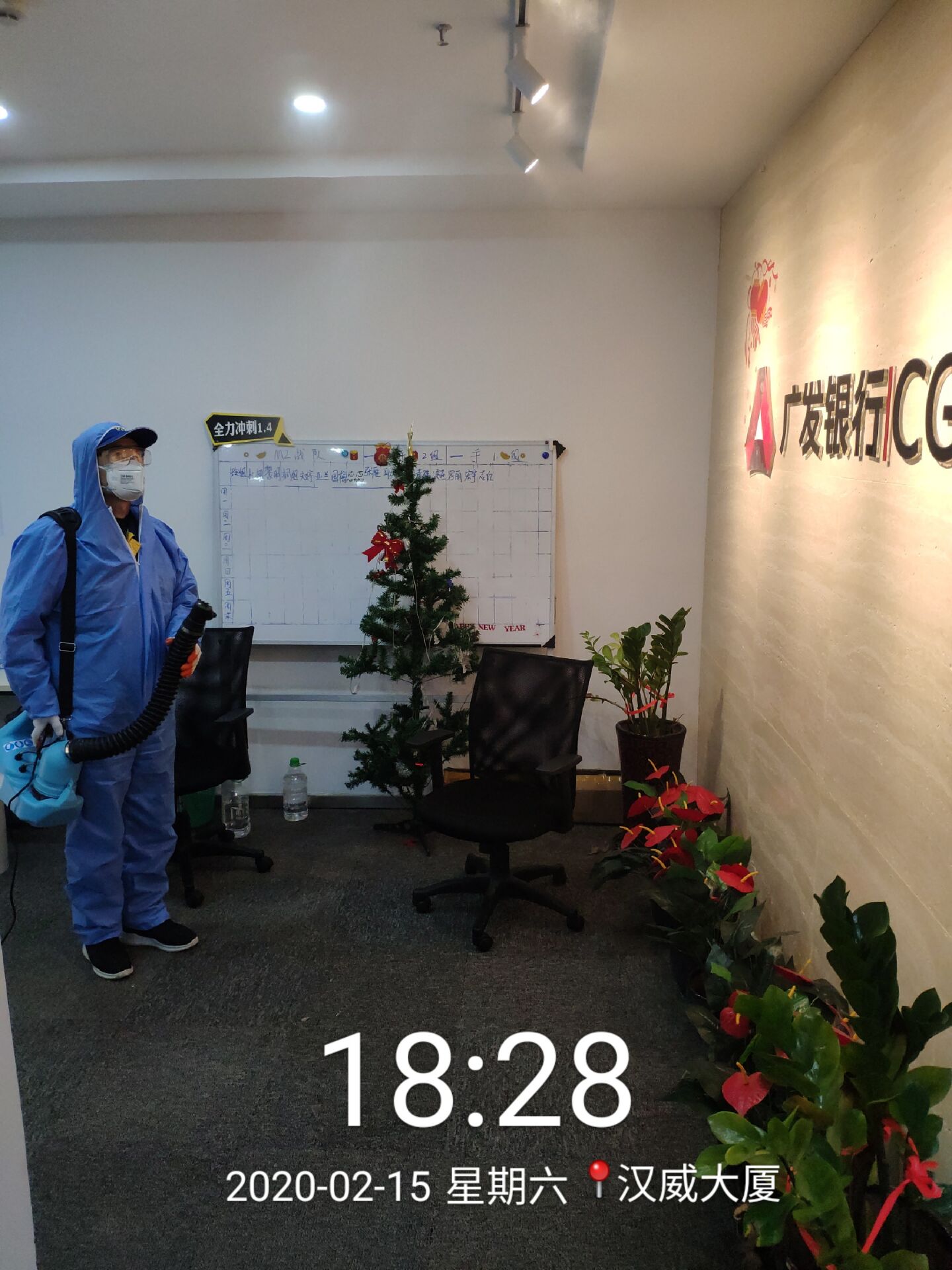 貓舍犬舍以及養(yǎng)寵家庭的日常消毒打聽北京室內(nèi)消毒公司多少錢一平米？